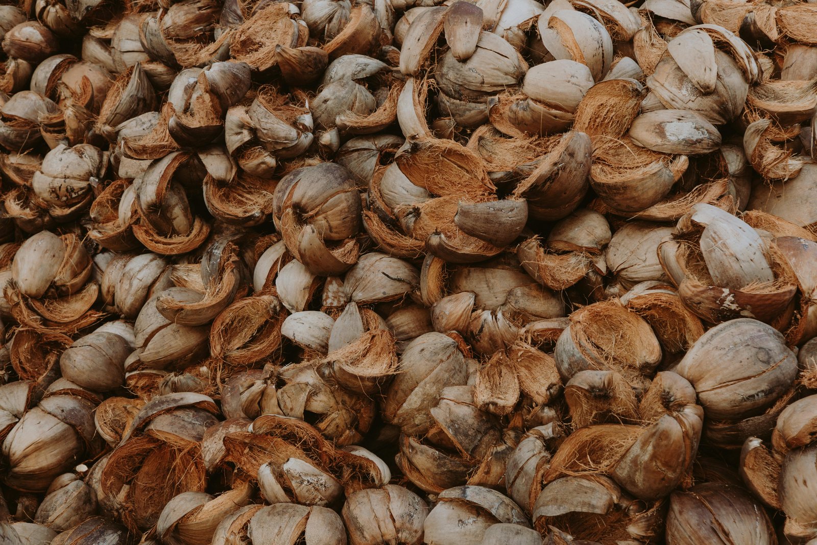 Industry Biomass Waste